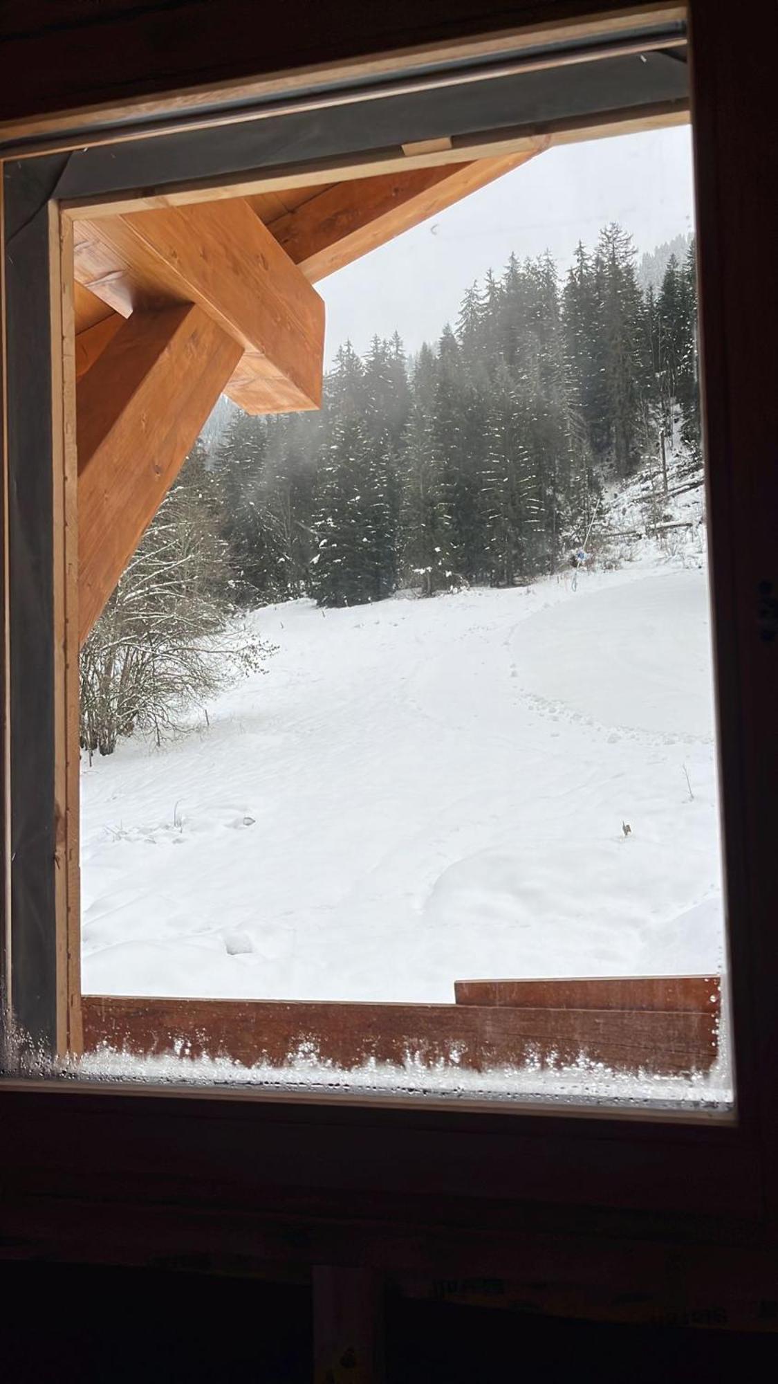 La Rose Des Neiges A Châtel Extérieur photo