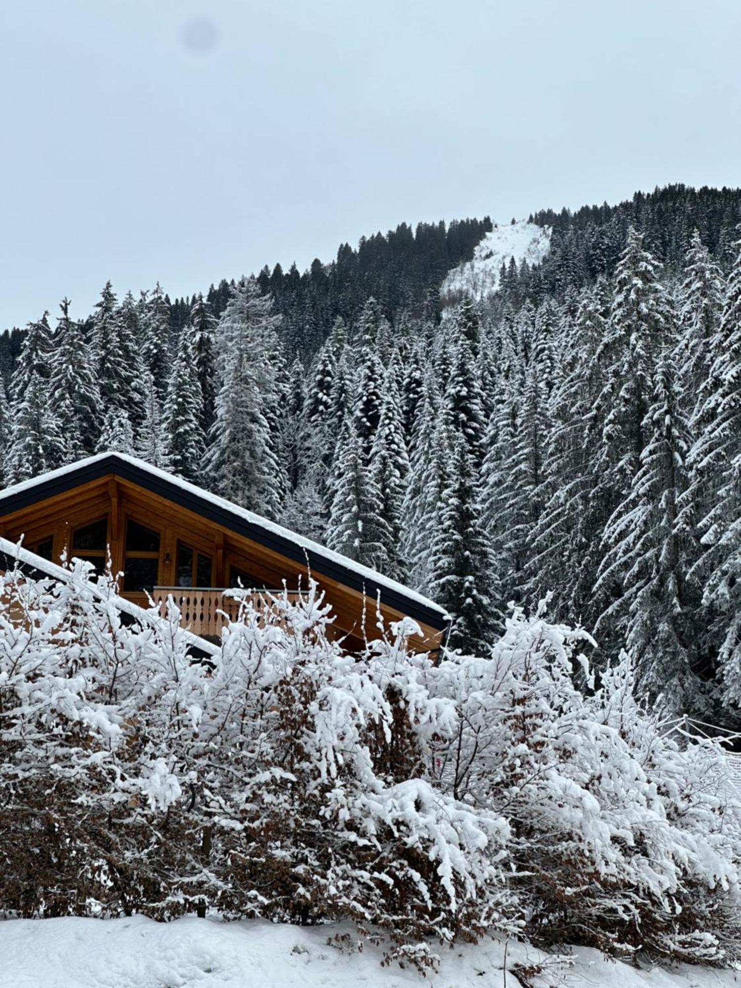 La Rose Des Neiges A Châtel Extérieur photo